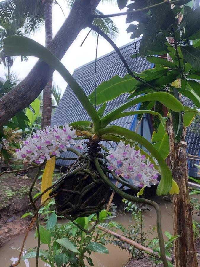 Homestay Nam Ham Luong Ben Tre ภายนอก รูปภาพ