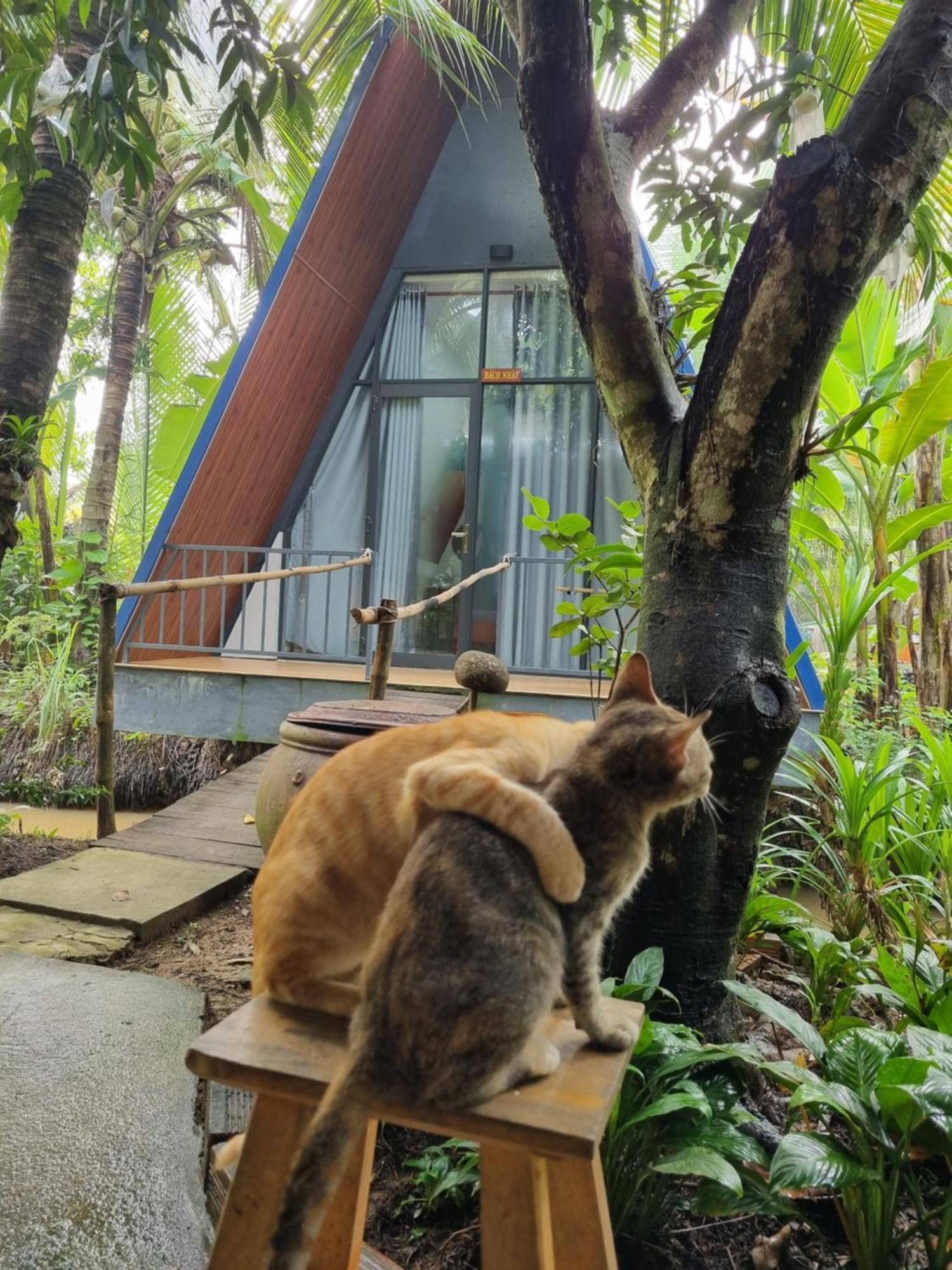 Homestay Nam Ham Luong Ben Tre ภายนอก รูปภาพ