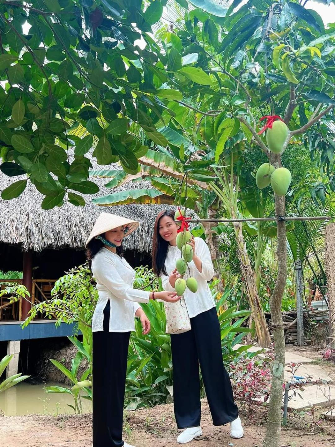 Homestay Nam Ham Luong Ben Tre ภายนอก รูปภาพ